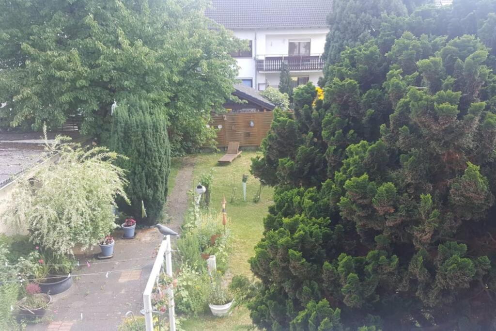 Ferienwohnung Maria Magdalena Bad Neuenahr-Ahrweiler Exteriör bild